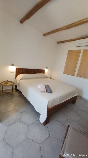 t     dimensioni grandi