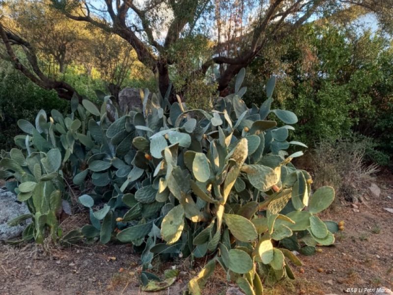 20220921   dimensioni grandi