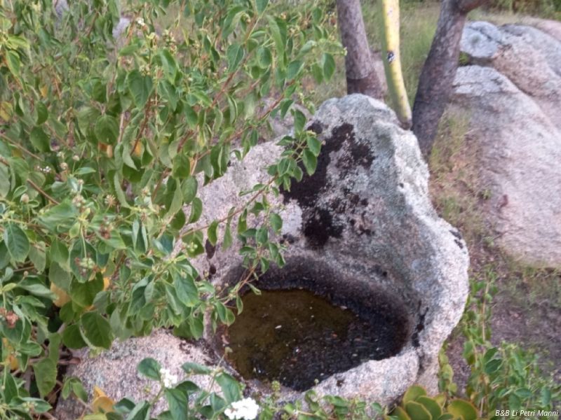 20220921   dimensioni grandi