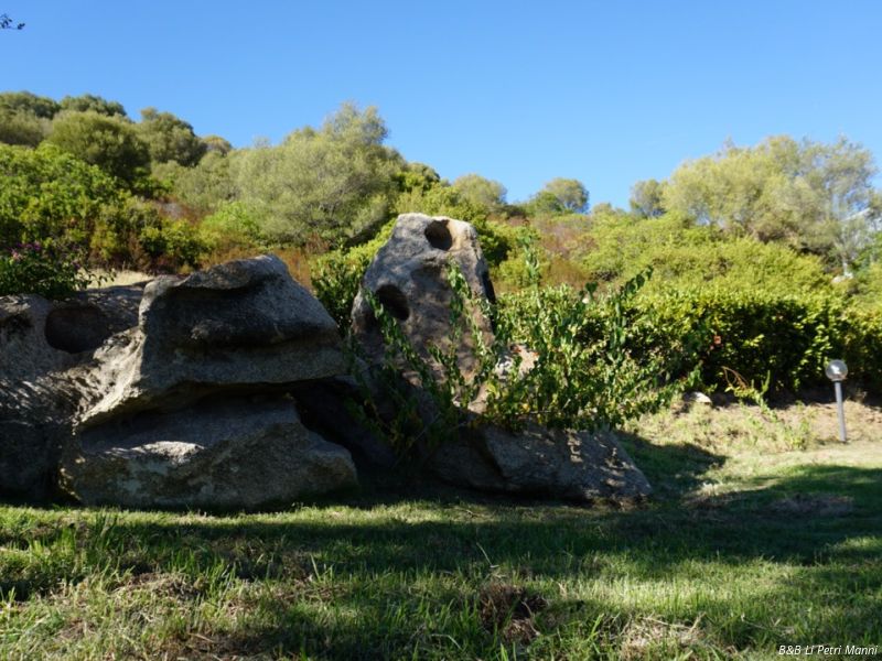 dsc05045   dimensioni grandi