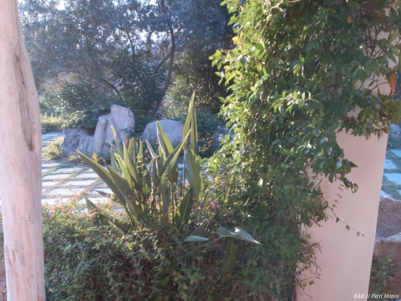 o   dimensioni grandi