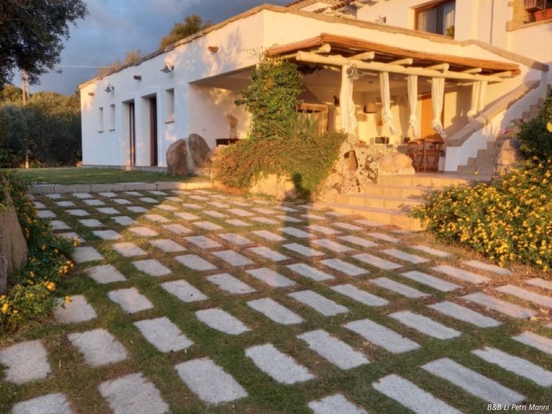 y     dimensioni grandi