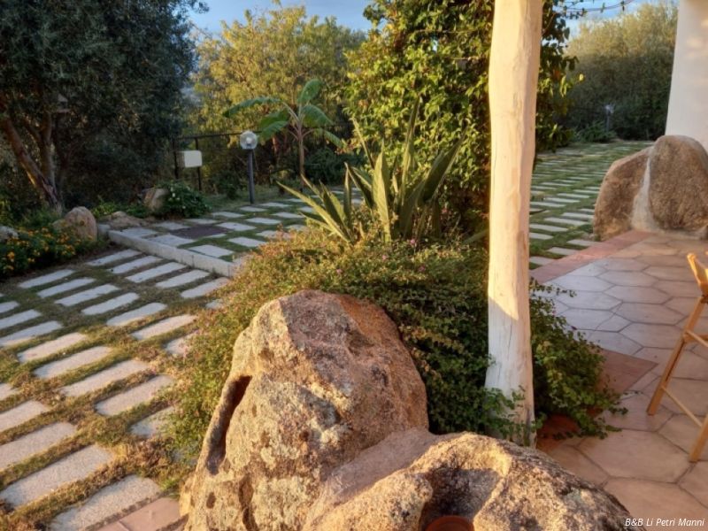 z   dimensioni grandi