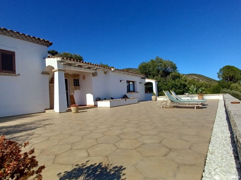 0222   dimensioni grandi