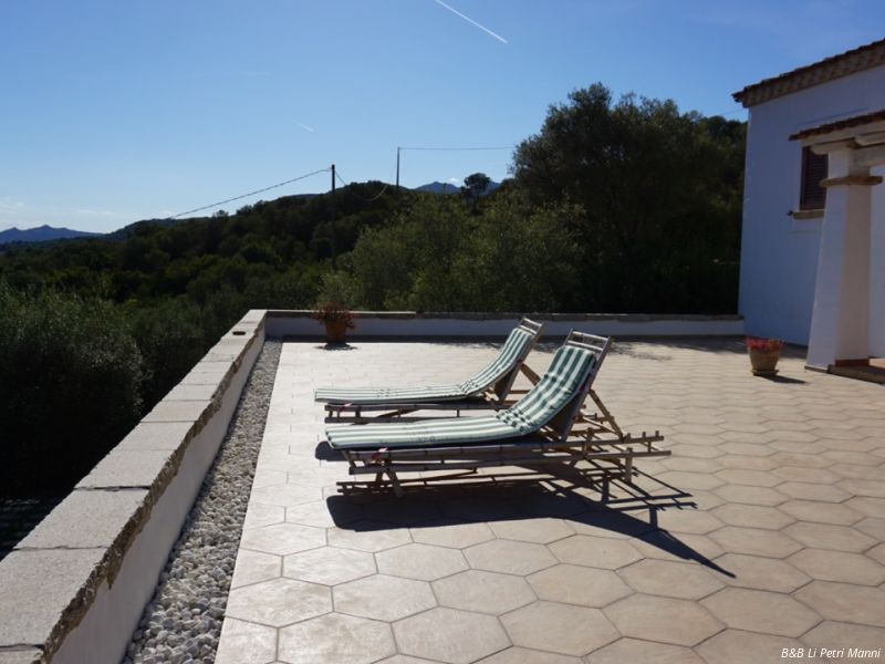 dsc05019   dimensioni grandi